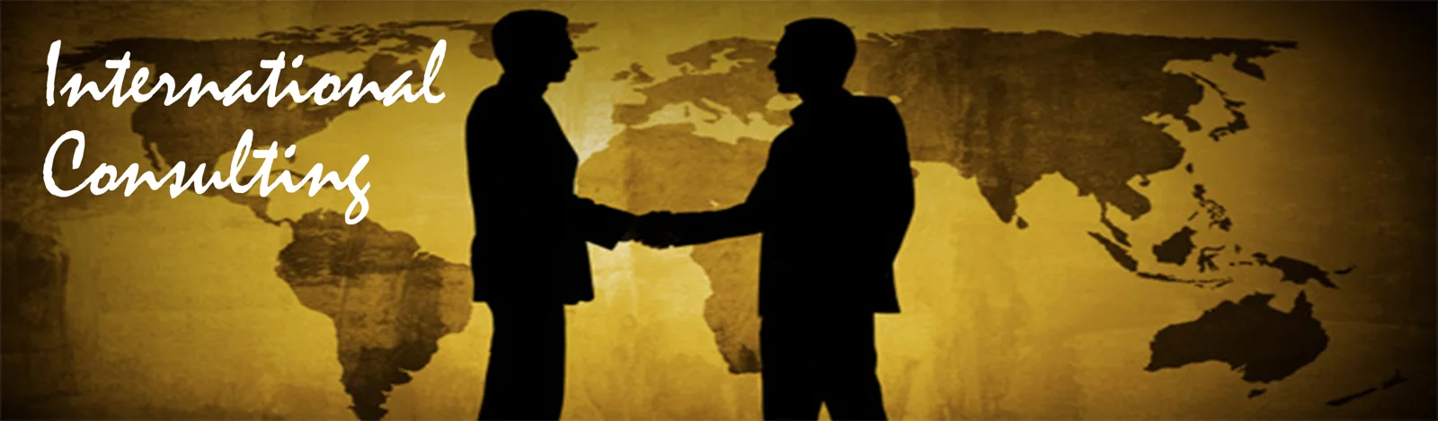 International Consulting Banner